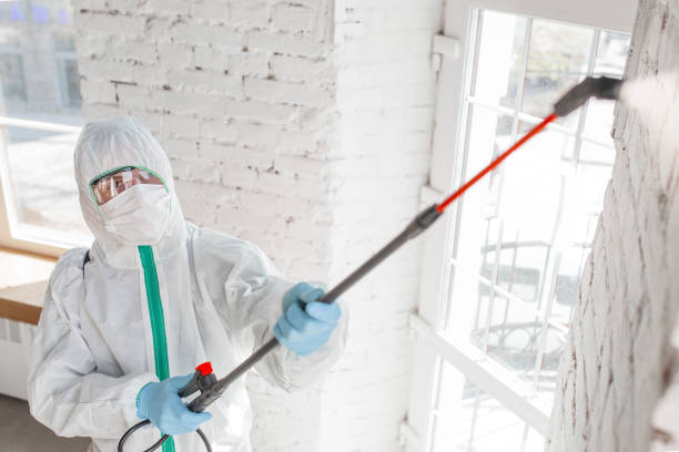 Best Real Estate Mold Inspection  in Olga, FL