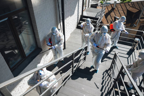 Best Attic Mold Removal  in Olga, FL