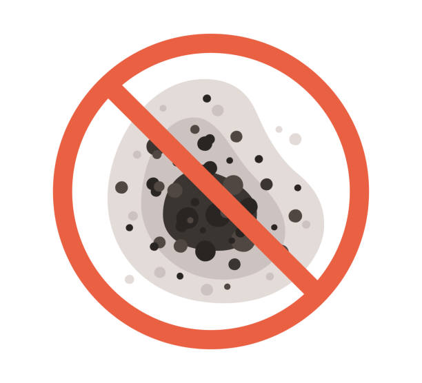  Olga, FL Mold Removal Pros