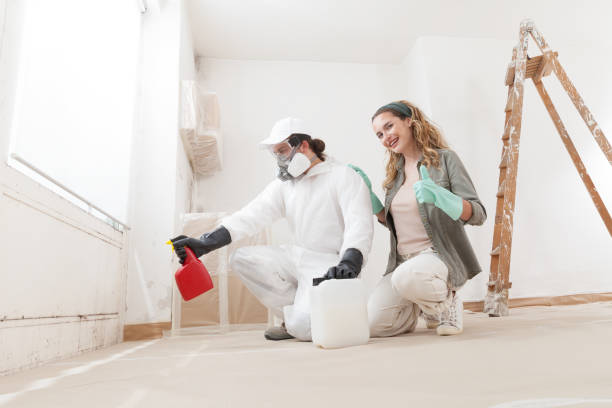 Best Attic Mold Removal  in Olga, FL