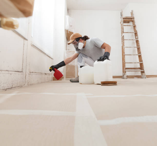 Best Dehumidification Services  in Olga, FL