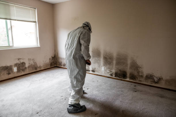 Best Residential Mold Inspection & Testing  in Olga, FL
