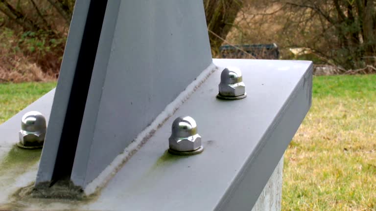 Forensic Mold Investigation in Olga, FL